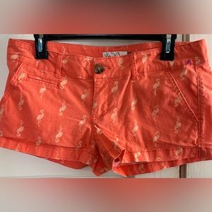 Flamingo shorts size 9, stretch